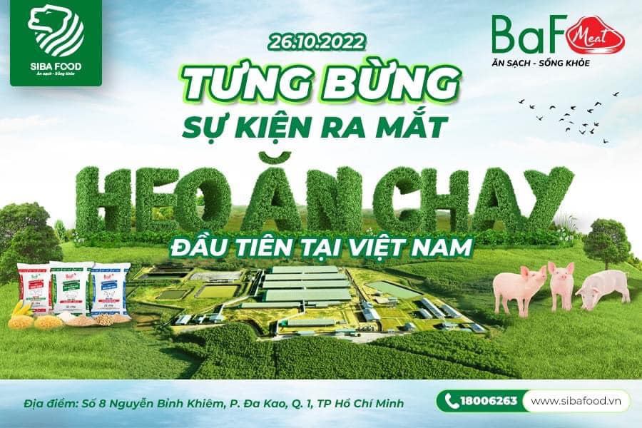 312964243_555004596627310_6168573174122820516_n