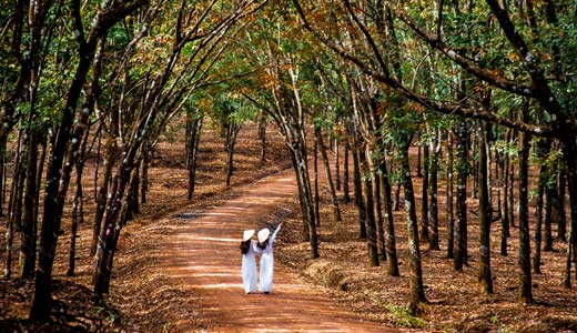 news20210720095428_01