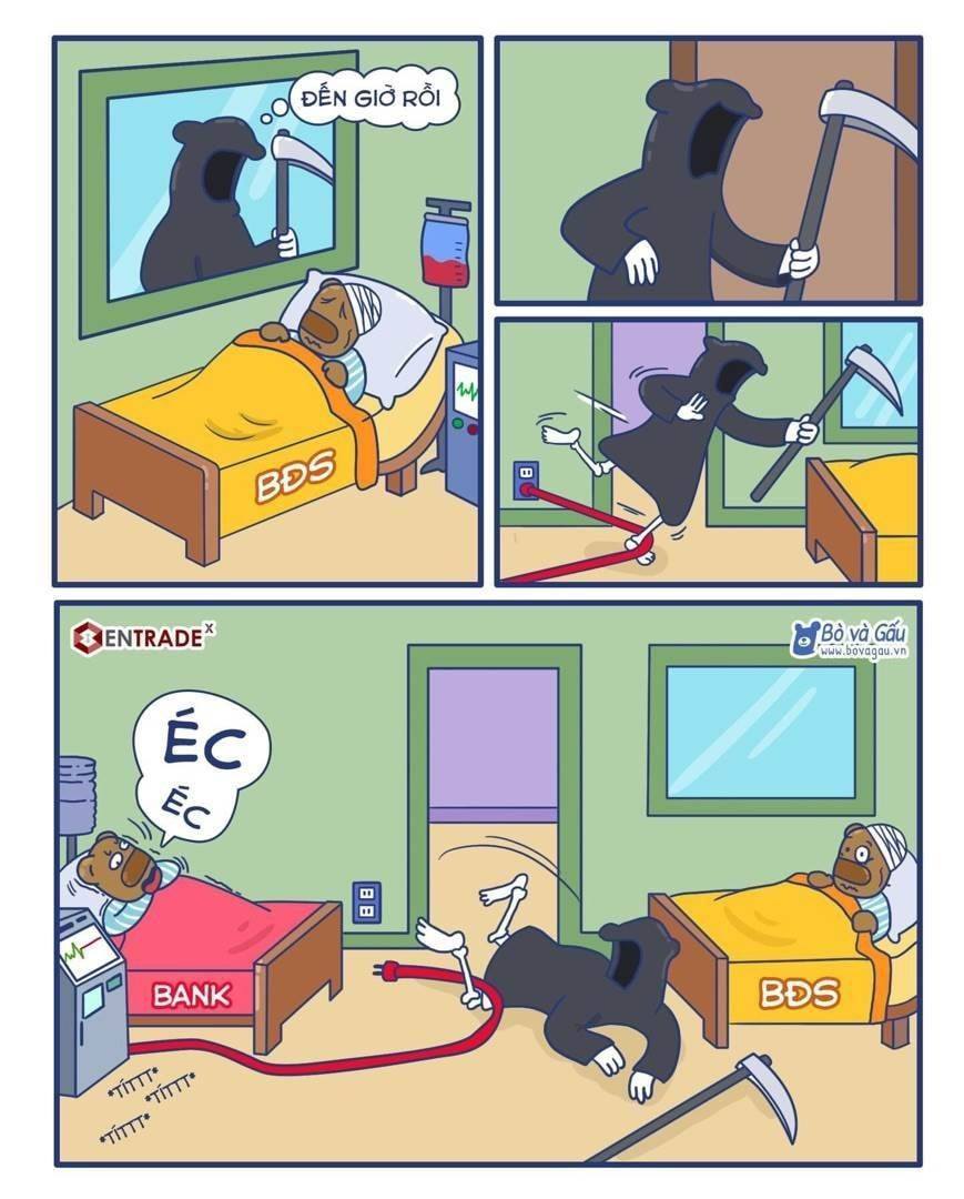 253403629_588699072441858_7830621317910570478_n