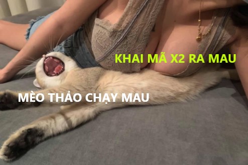 b50c2ae10e99c4c79d88