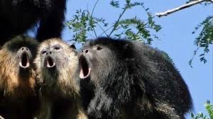 7550791E-8E36-43B5-B40D-6C725EBE540A_4_5005_c