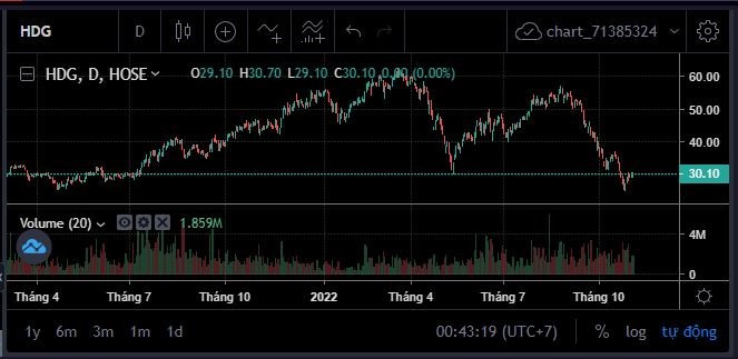 Thị giá phục hồi, Dragon Capital bắt đáy thành công cổ phiếu HDG ảnh 1
