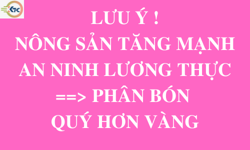 PHAN BON