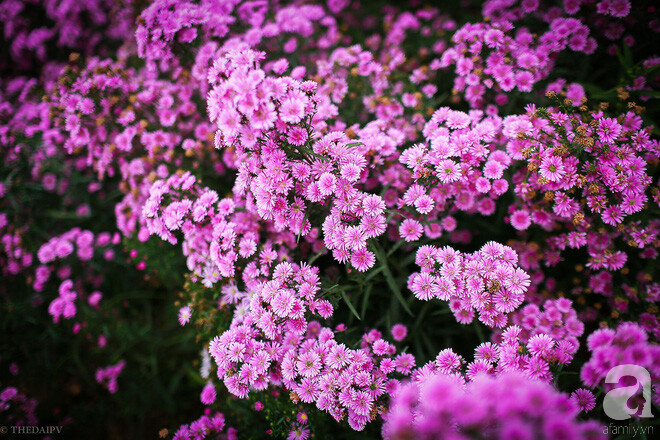 5j5a2408-1509301605463-1509301782486