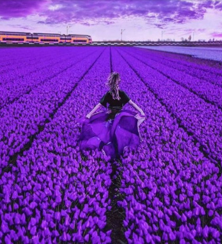 z3010309063819_26130e683967d142eacb332e87bbfb00