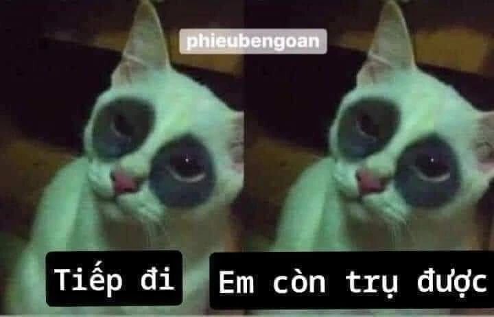 91543960_1155818791427892_8990594056476164096_n