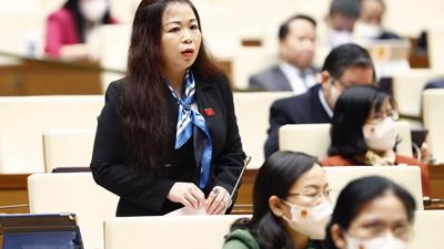 Cần thận trọng khi cho tư nhân tham gia truyền tải điện, tránh hệ lụy về sau
