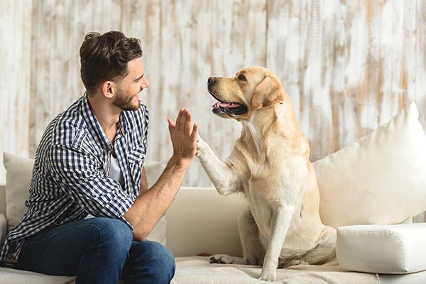 happy-high-five-lab