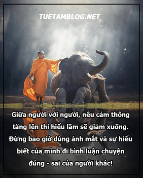 b660c7b931ba5d2c7f0c263c98a802fe