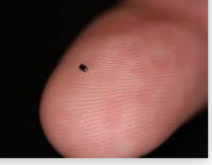 Screen Shot 2022-08-22 at 11.23.39 AM