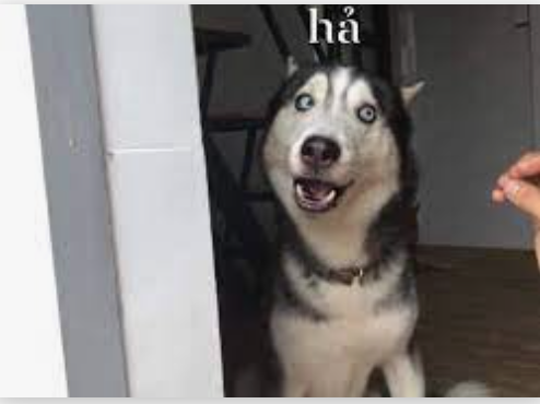 Screen Shot 2022-08-22 at 1.06.53 PM