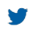 icon-twiter