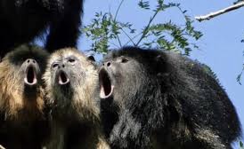 8D4EB9D6-83DE-4FF7-92D6-CB5093961185