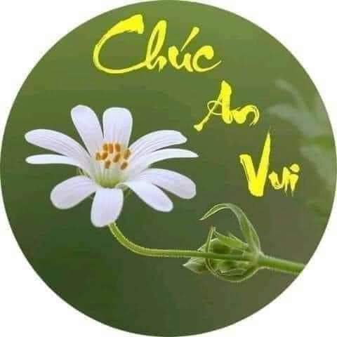 FB_IMG_1657253115726