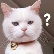 FB_IMG_1661945424713