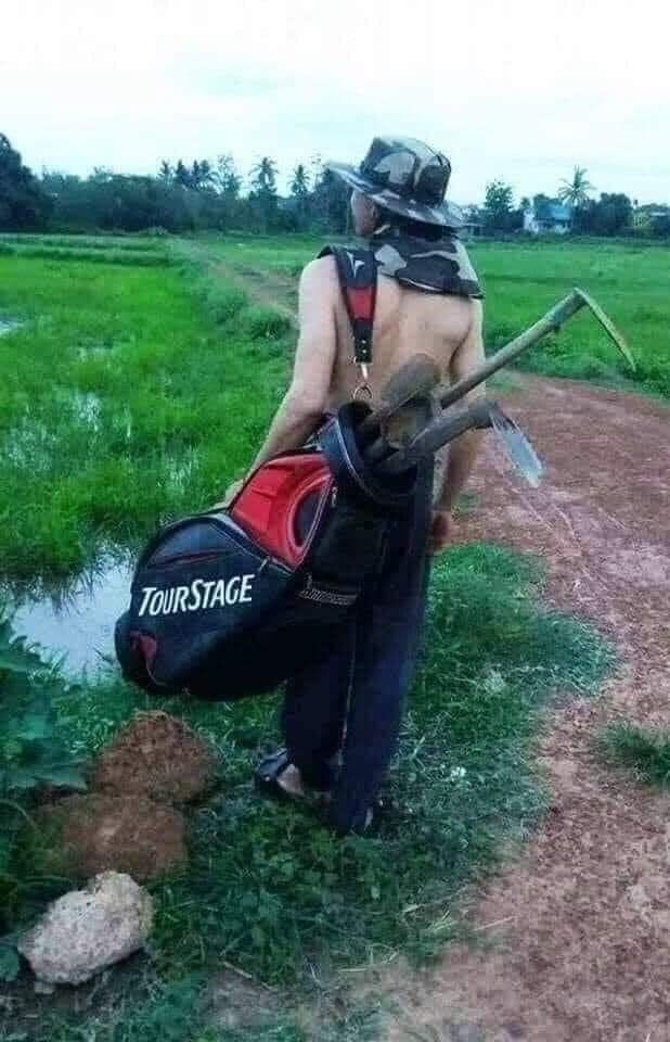 276006174_1994018374112796_6436569725600165466_n