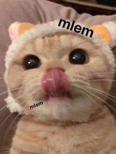 FB_IMG_1591248705638