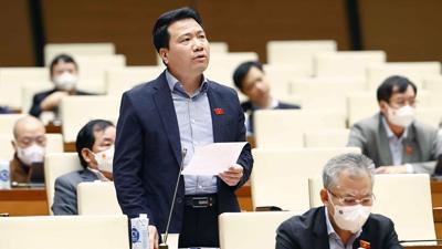 Sửa Luật Nhà ở: Cần xem xét thấu đáo, tránh chỉ mang lại lợi ích cho chủ dự án, người gom đất