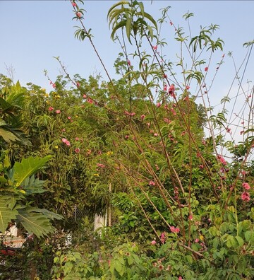 Screenshot_20220501-111134_Gallery