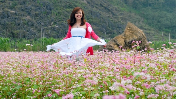 hoa-tam-giac-mach-ha-giang