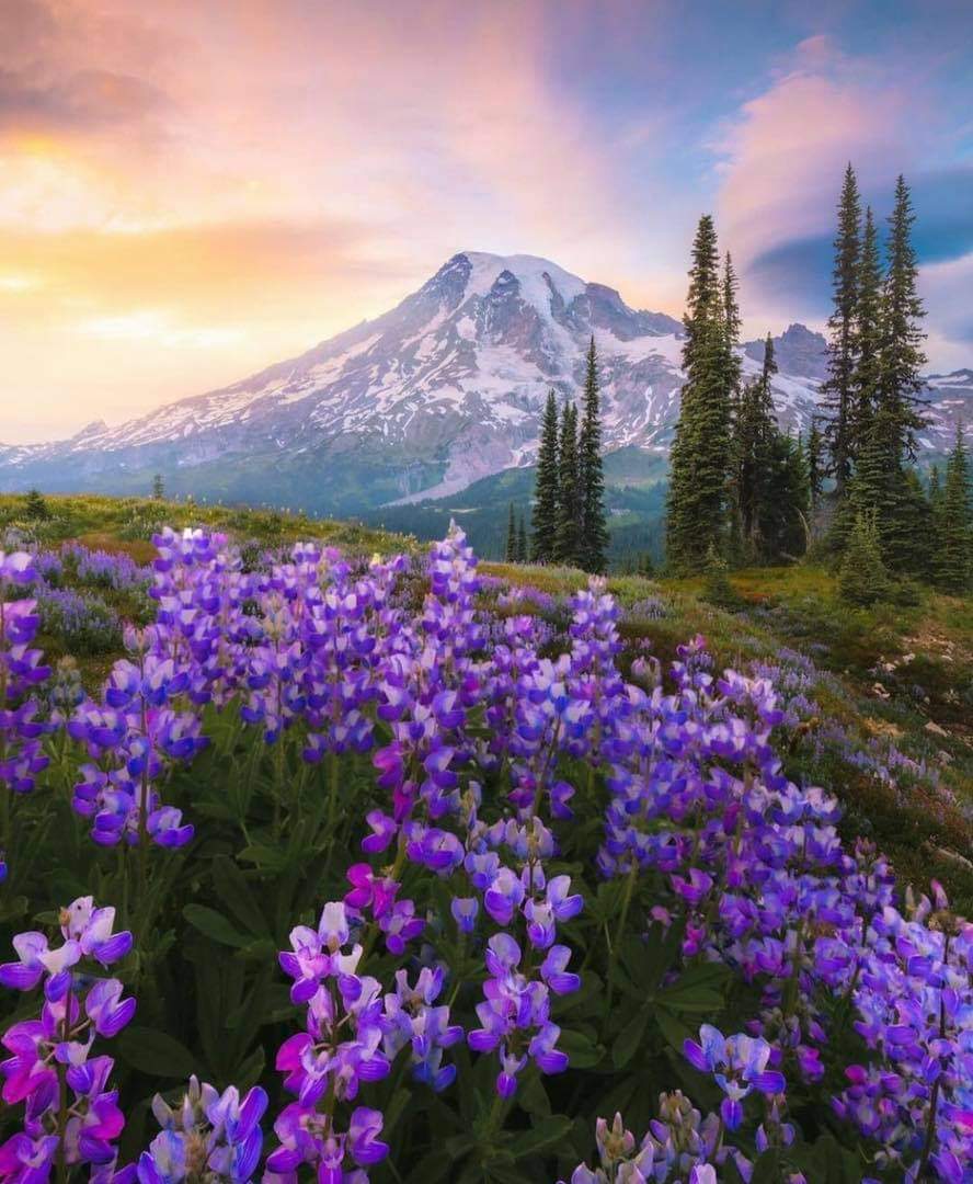 FB_IMG_1636931365670