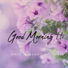 58206301d7e8b8297a0fc7f884243c6e