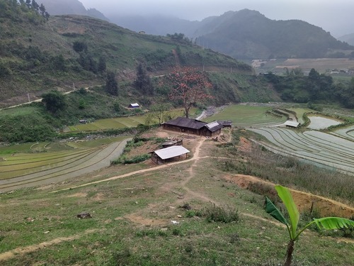 IMG_20210313_163436_1