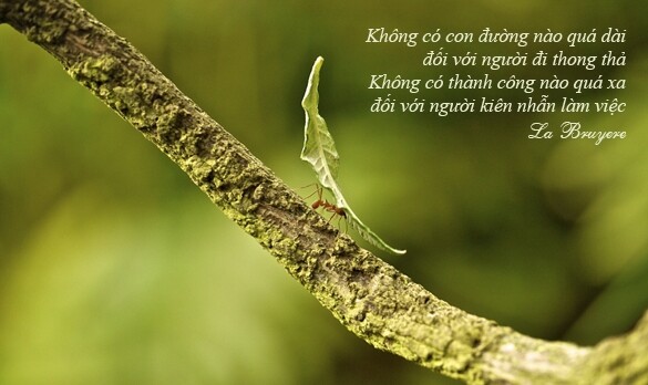 suc-manh-cua-long-cua-long-kien-nhan-3