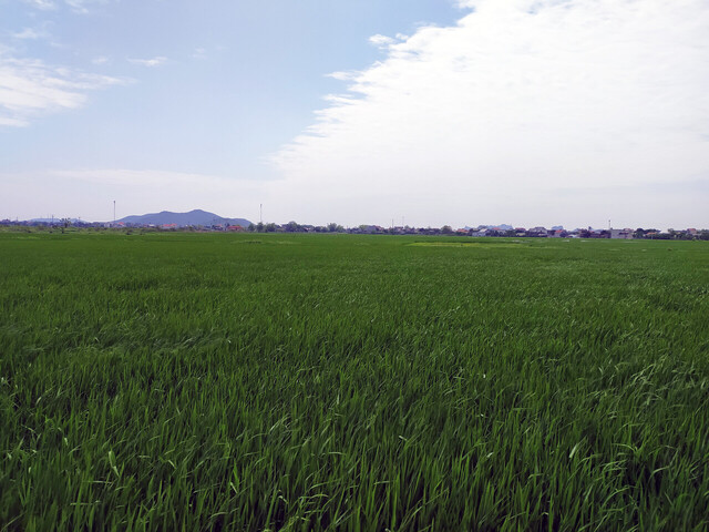 61b8598282a34cfd15b2