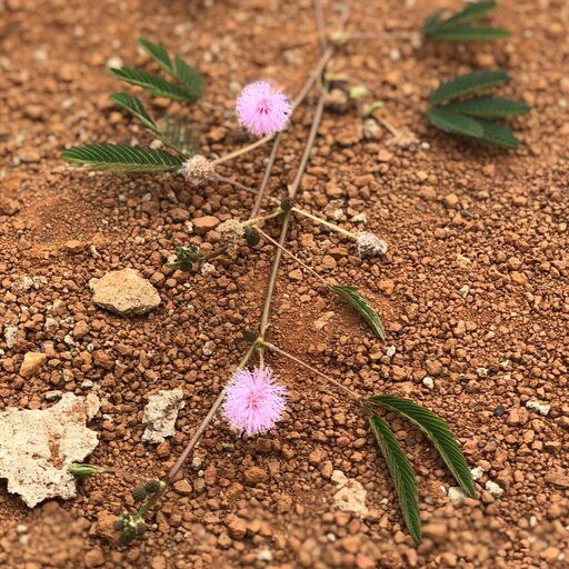 z3435260109286_7fdad7a1b944a58a2708b1c720db52c7