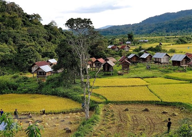 Xay dung phuong an mo cua lai hoat dong du lich tu ngay 15/3 hinh anh 1