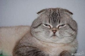 5E439DC8-CFA0-4A31-8C16-FF5288BE0D5A_4_5005_c