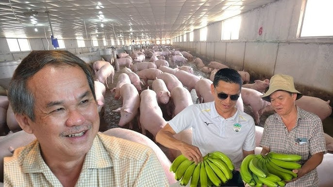 Con gái bầu Đức 'bom hàng' 4 triệu cổ phiếu Hoàng Anh Gia Lai (HAG)