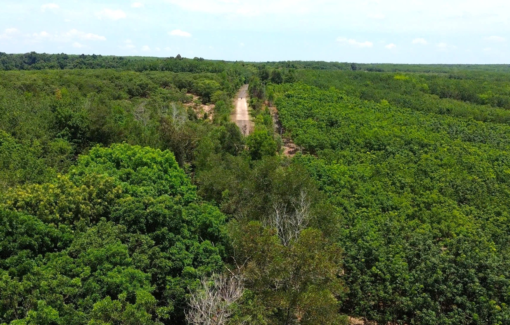 Hình ảnh tuyến đường duy nhất nối Bình Phước với Đồng Nai nhưng bị ngăn cách- Ảnh 13.