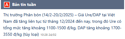 Screenshot 2025-03-03 095618