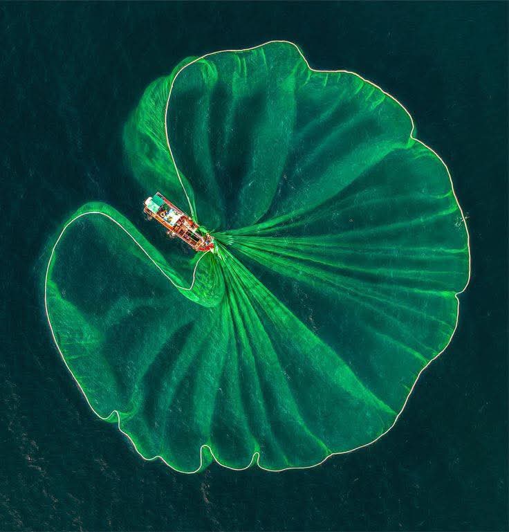 FB_IMG_1748582627164