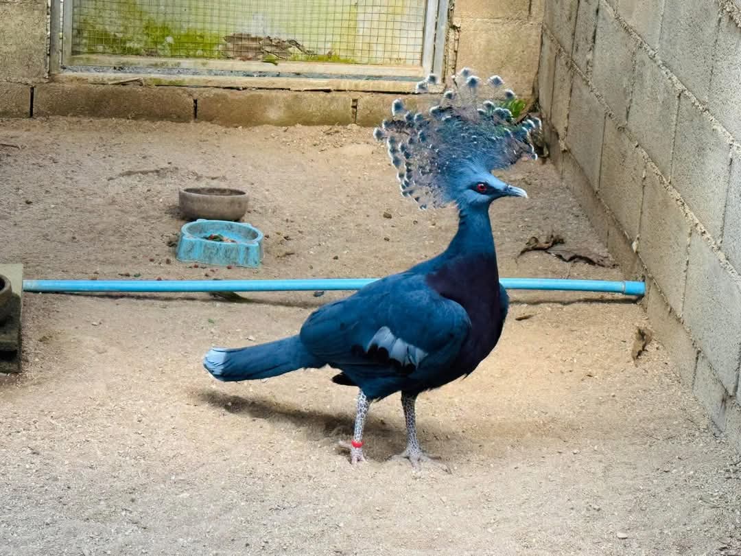 FB_IMG_1739765693942