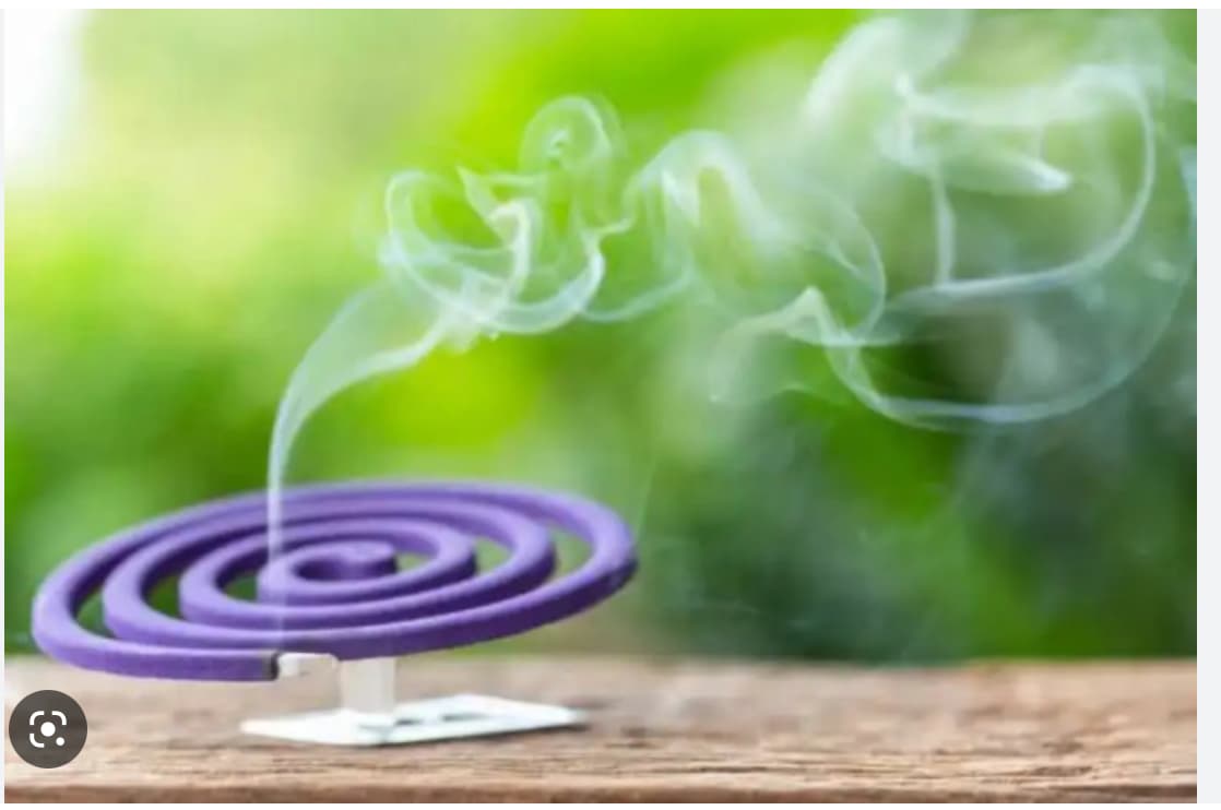 Screen Shot 2023-02-23 at 8.55.39 AM