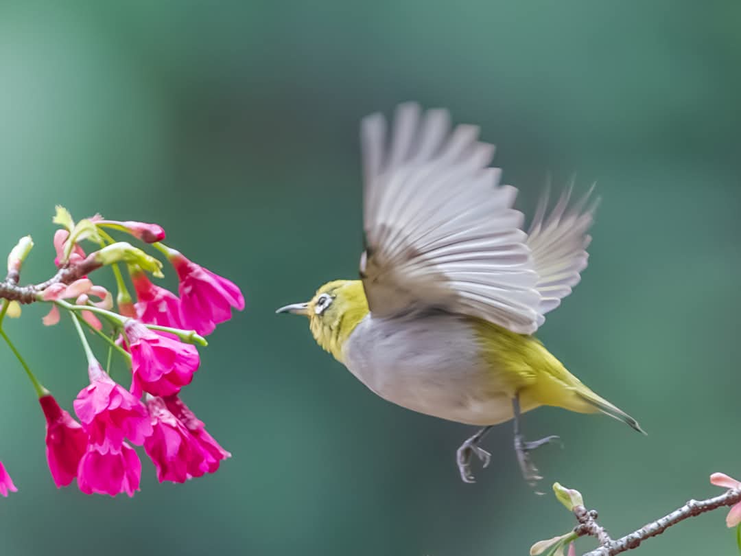 FB_IMG_1743407844601