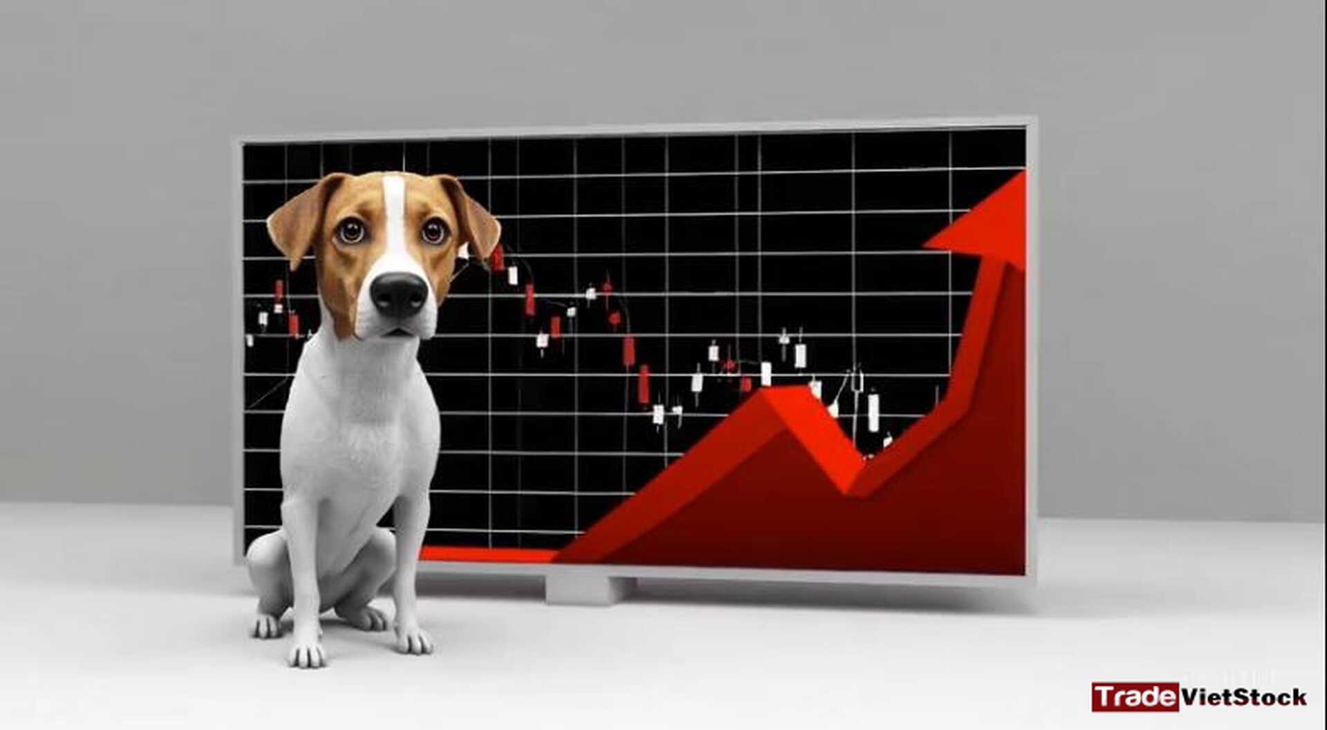 Pi Thủ Lạc Quan Trade Việt Stock