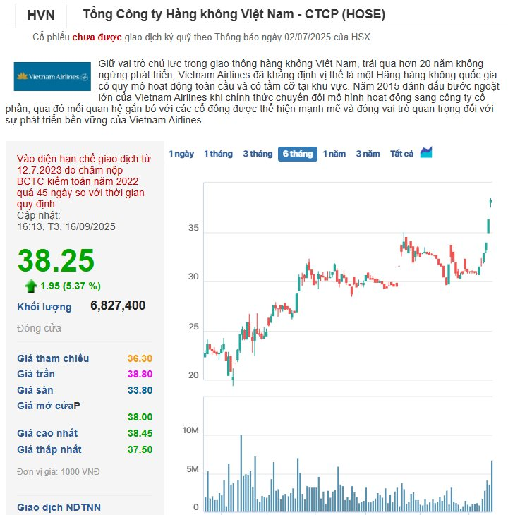 Vietnam Airlines vươn lên chiếm ngôi số 1 trong danh mục đầu tư gần 210.000 tỷ đồng của SCIC- Ảnh 4. Vietnam Airlines vươn lên chiếm ngôi số 1 trong danh mục đầu tư gần 210.000 tỷ đồng của SCIC- Ảnh 4.