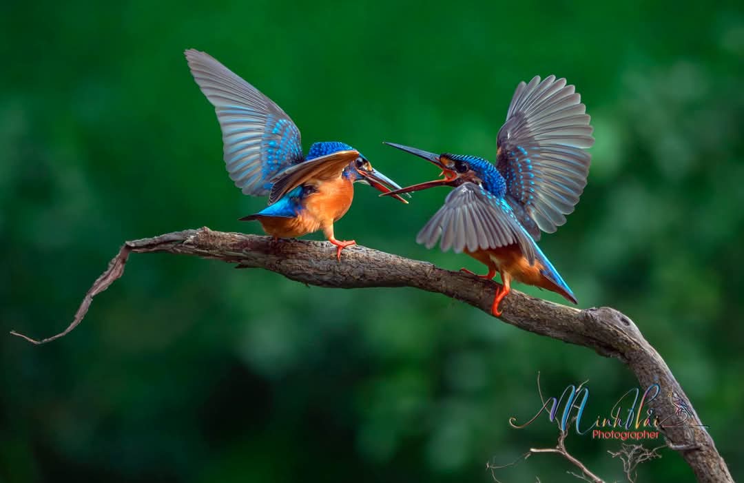 FB_IMG_1732768640610