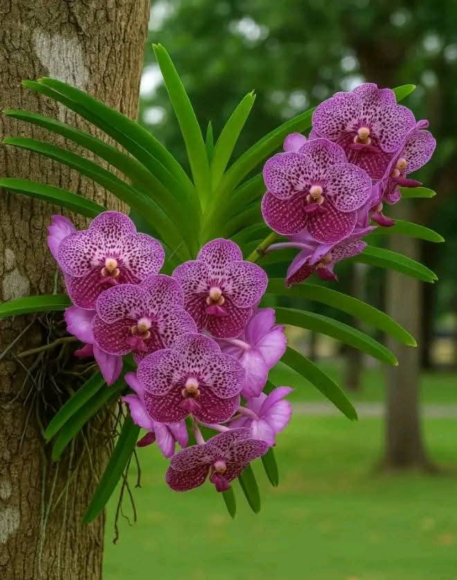 FB_IMG_1754457475876