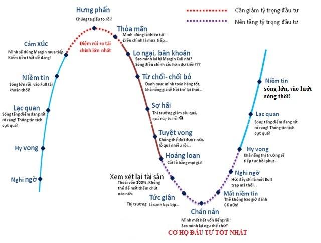 216145557_924114004804134_5043314136044419474_n