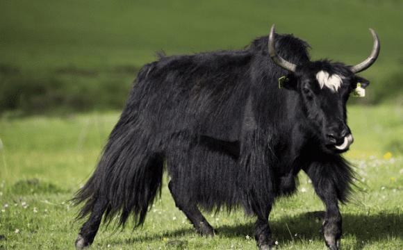 4d769ef2b5bc5ce205ad