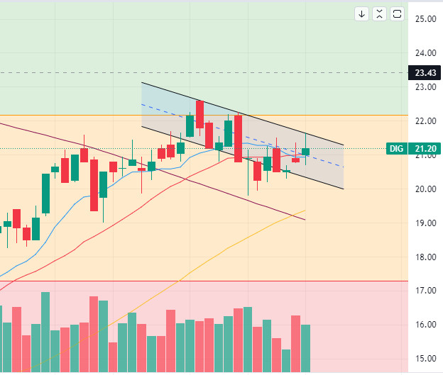 z4445175079140_0d57a58478daf7d7e12903edcc7c37ed