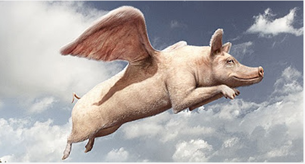 スクリーンショット 2023-10-27 134437