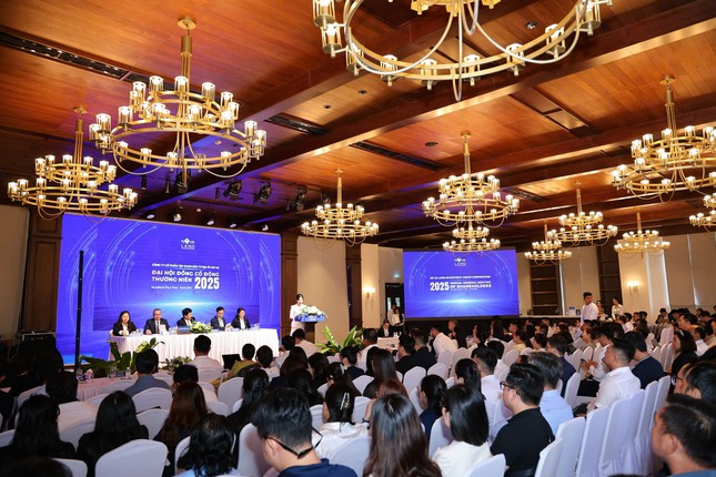 Lý do Novaland lên phương án thua lỗ trong năm nay- Ảnh 2.