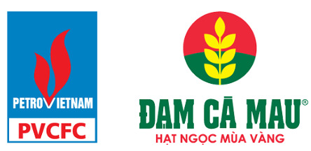 logo-DCM