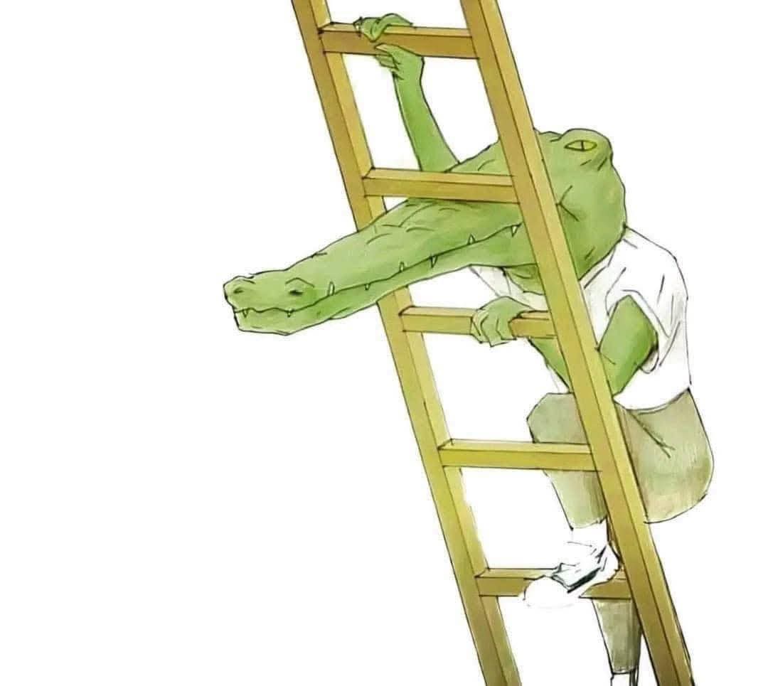 FB_IMG_1741194247962